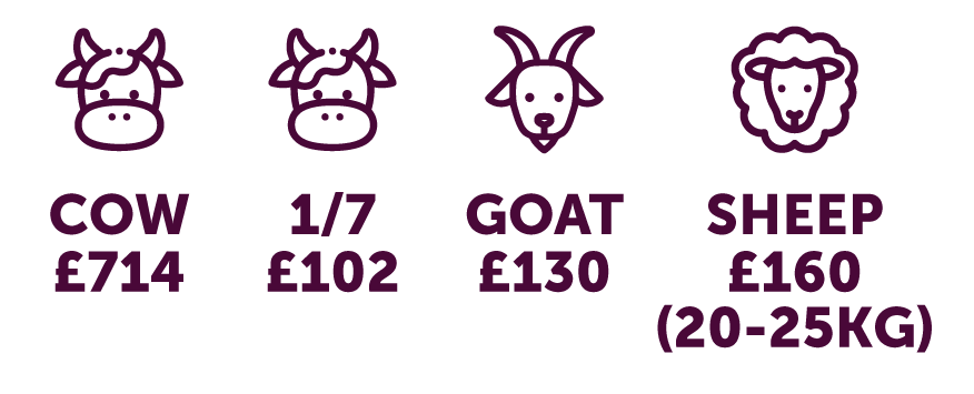 LO Dhul Hijjah 2025 Pricing-24