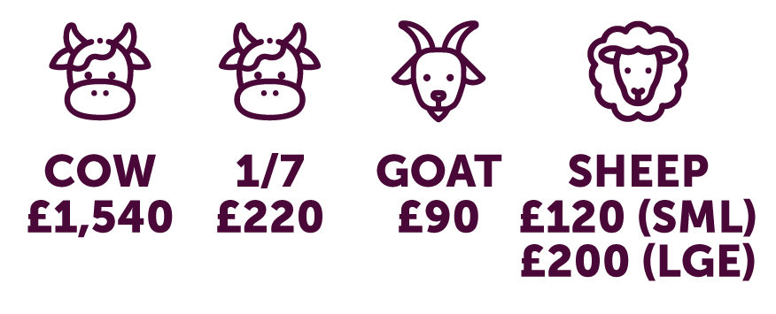 LO Dhul Hijjah 2025 Pricing-25